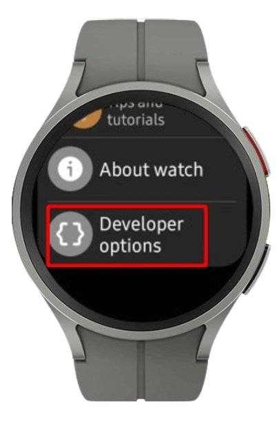 Go to Developer Options